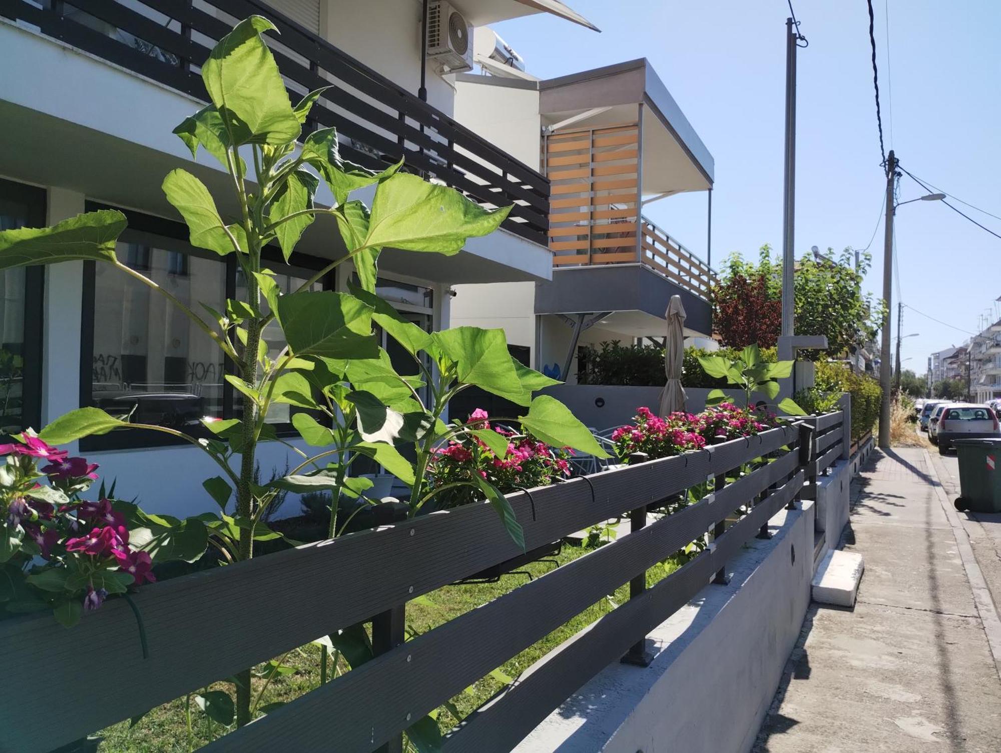 Villa Olympia Paralía Exteriör bild